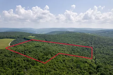 00 Rice Rd, Cayuta, NY photo 11