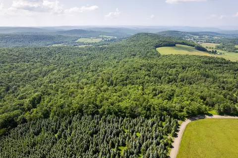 00 Rice Rd, Cayuta, NY photo 2