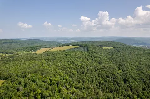 00 Rice Rd, Cayuta, NY photo 9