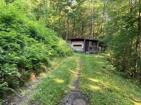 3805 Texas Hollow Rd, Hector, NY 14818