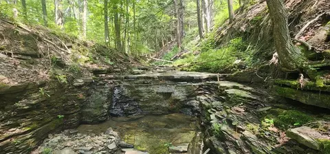 2869 Merriam Rd, Ashland, NY 14894
