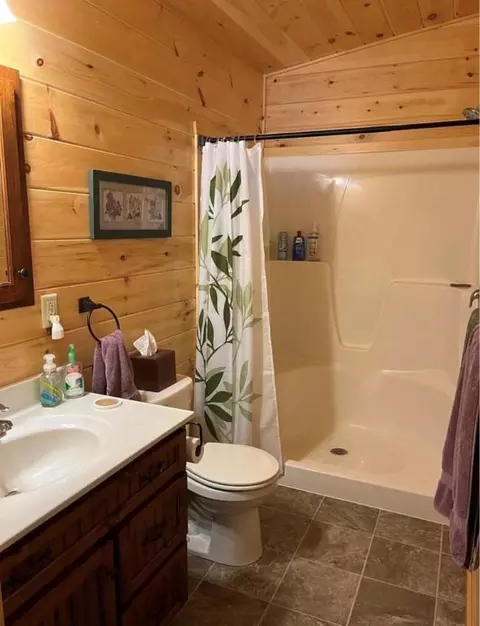 8604 Smith Hill Rd, Erwin, NY 14801 photo 5