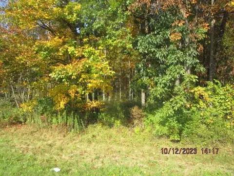 0 W Manning Ridge Rd, Erwin, NY 14821