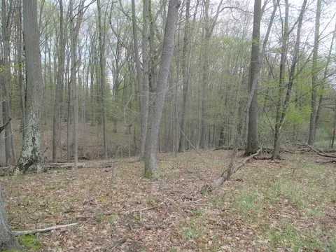 C-2 County Rd 28, Reading, NY 14891 photo 6