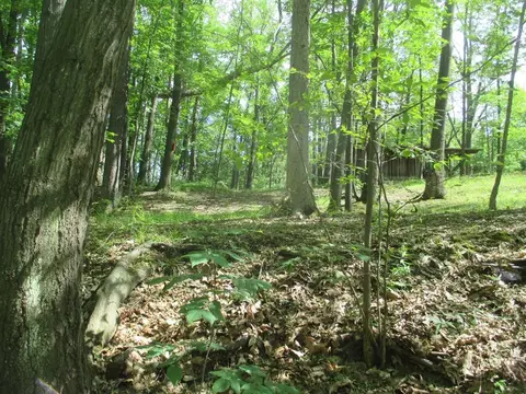 C-2 County Rd 28, Reading, NY 14891 photo 4