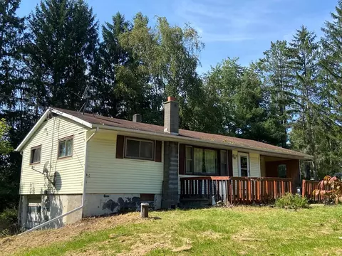 565 Veteran Hill Rd, Veteran, NY 14845
