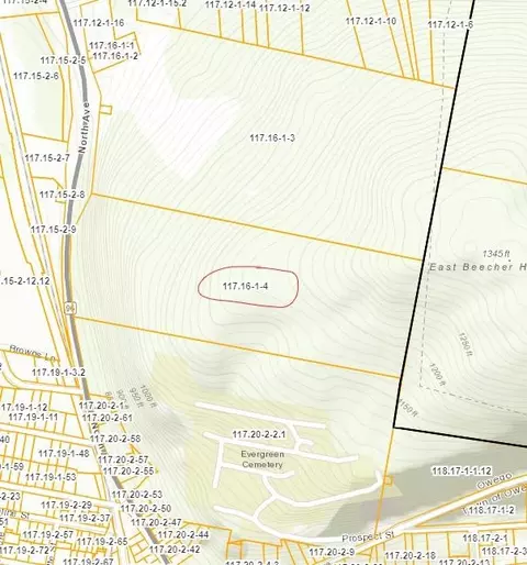 0 N Ave E S, Owego, NY 13827