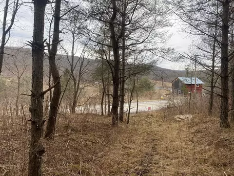 00 Wyncoop Creek Rd, Baldwin, NY 14825