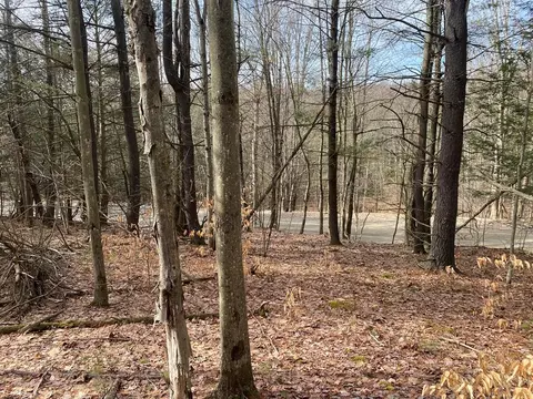 00 Putt Hill Rd, Baldwin, NY 14825