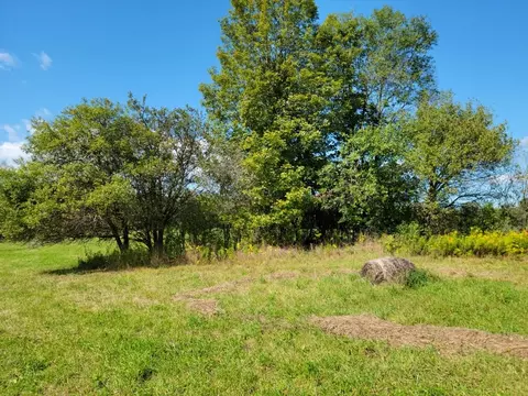 0 Fairgrounds Rd, Prattsburgh, NY 14873 photo 2
