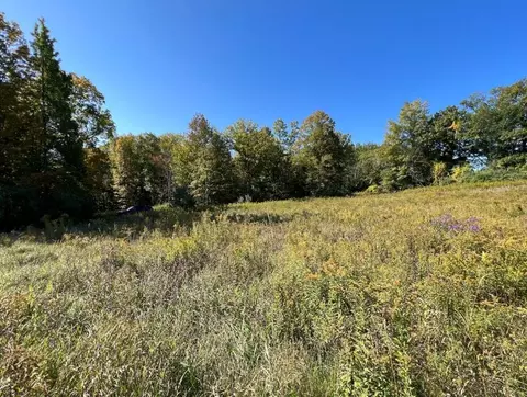 0 Hagerman Rd, Chemung, NY 14892