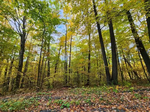 0 Fitzgerald Rd, Hector, NY 14818