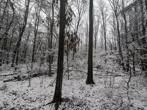 00 Markle Hollow Rd, Corning, NY 14830 photo 10