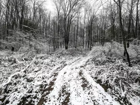 00 Markle Hollow Rd, Corning, NY 14830 photo 4