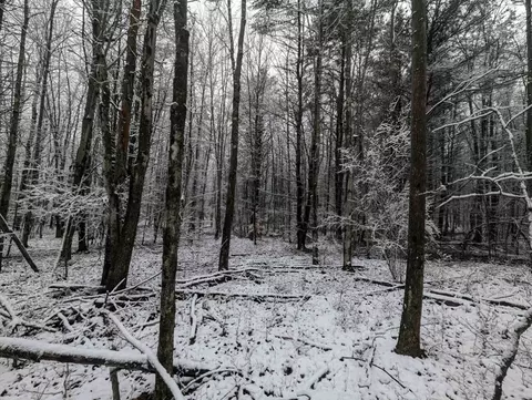 00 Markle Hollow Rd, Corning, NY 14830 photo 14