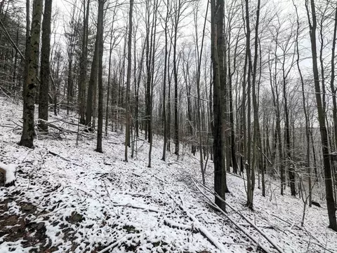 00 Markle Hollow Rd, Corning, NY 14830 photo 6