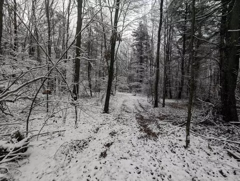 00 Markle Hollow Rd, Corning, NY 14830 photo 9