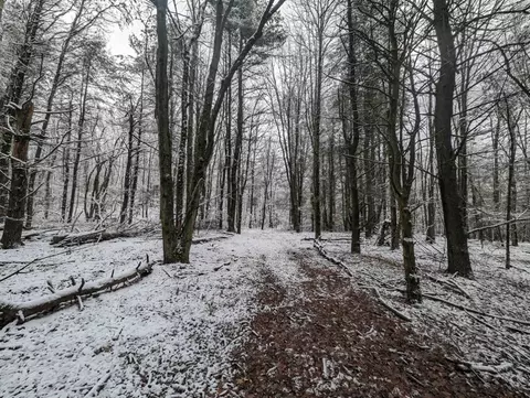 00 Markle Hollow Rd, Corning, NY 14830 photo 8