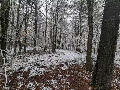 00 Markle Hollow Rd, Corning, NY 14830 photo 11