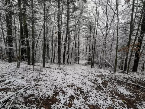 00 Markle Hollow Rd, Corning, NY 14830 photo 12