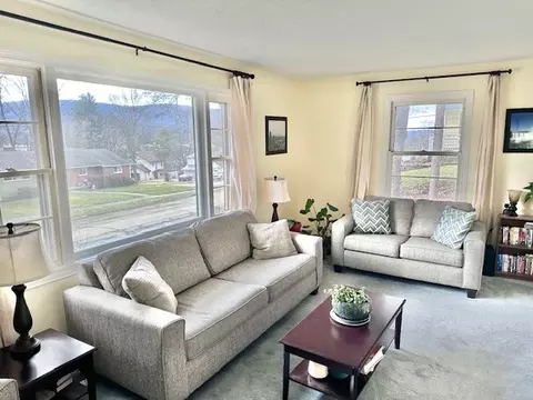 138 Davis St, Erwin, NY 14870 photo 2