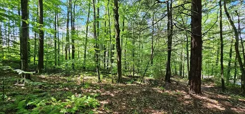 0 Ellison Rd, Barton, NY 14859
