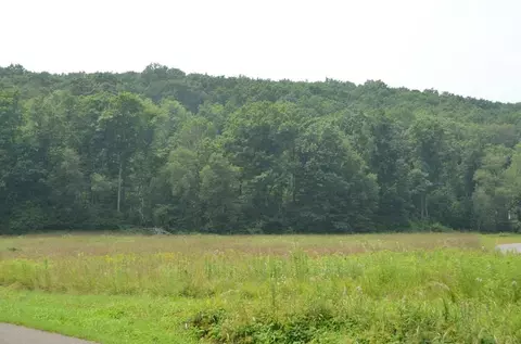 0 Lot 11 Idle Wheels Ln, Athens Twp, PA 18840