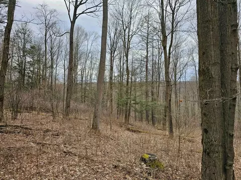 0 N Shuler Rd, Hector, NY 14805 photo 15