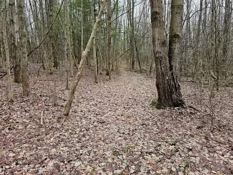 0 N Shuler Rd, Hector, NY 14805 photo 9