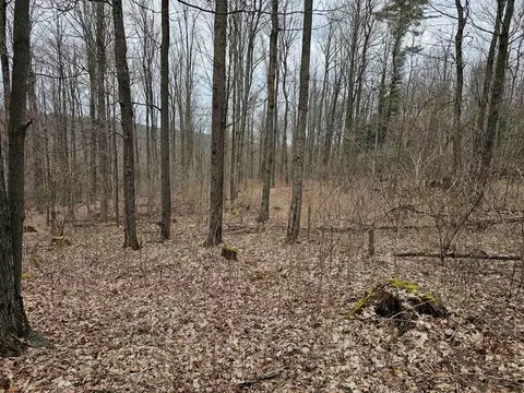 0 N Shuler Rd, Hector, NY 14805 photo 16