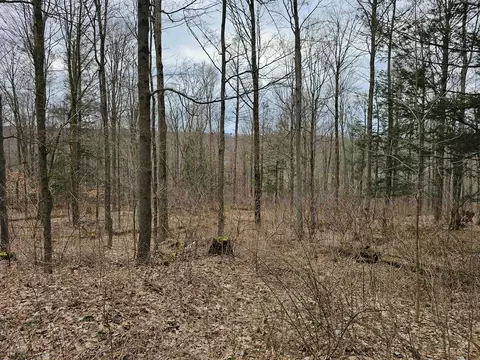 0 N Shuler Rd, Hector, NY 14805 photo 6