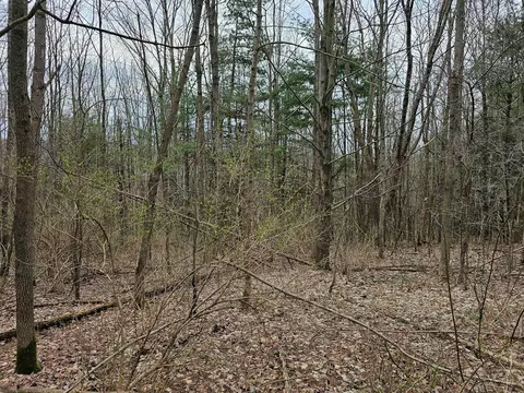 0 N Shuler Rd, Hector, NY 14805 photo 2