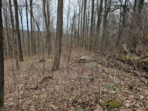 0 N Shuler Rd, Hector, NY 14805 photo 17