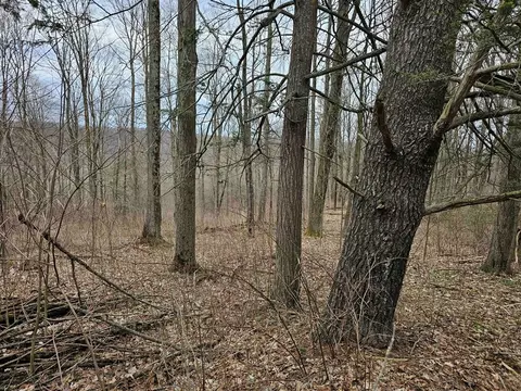 0 N Shuler Rd, Hector, NY 14805 photo 18