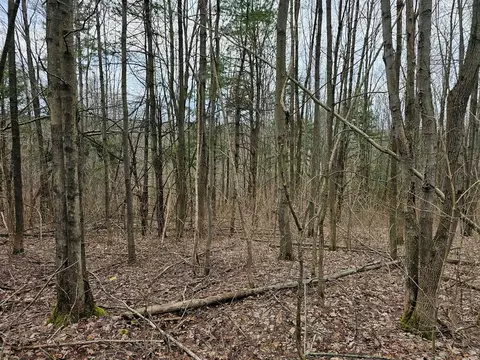 0 N Shuler Rd, Hector, NY 14805 photo 3