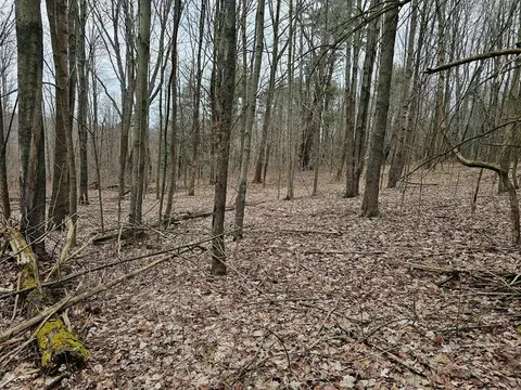 0 N Shuler Rd, Hector, NY 14805 photo 19