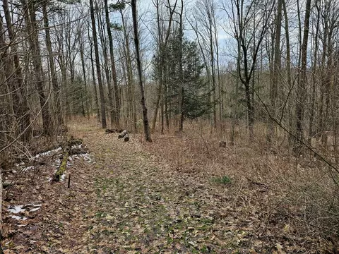 0 N Shuler Rd, Hector, NY 14805 photo 5