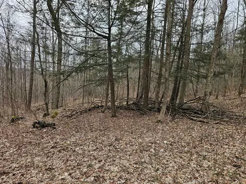0 N Shuler Rd, Hector, NY 14805 photo 13