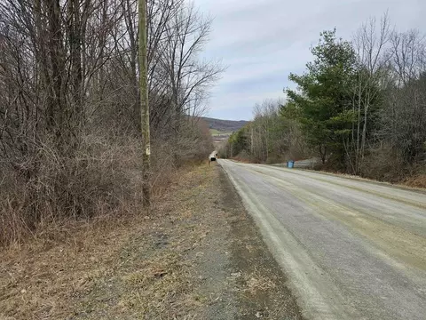 0 N Shuler Rd, Hector, NY 14805 photo 26
