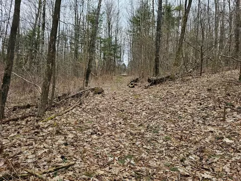 0 N Shuler Rd, Hector, NY 14805 photo 8