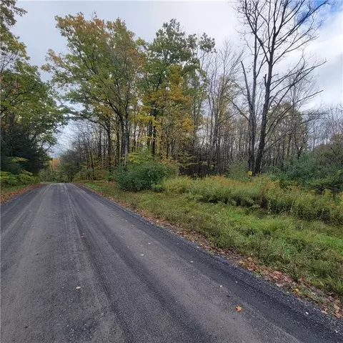 00 Beech Hill Rd, Newfield, NY 14867