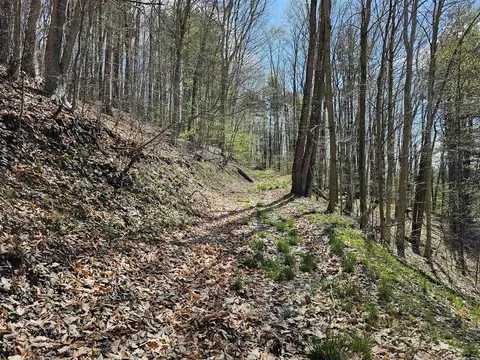 00 Ny-79, Richford, NY 13835