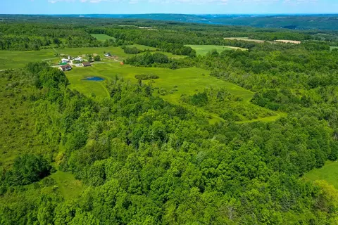 8426 Stone Rd, Pulteney, NY 14879 photo 65
