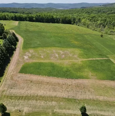 0 Walker Hill Rd, Barton, NY 14892 photo 7