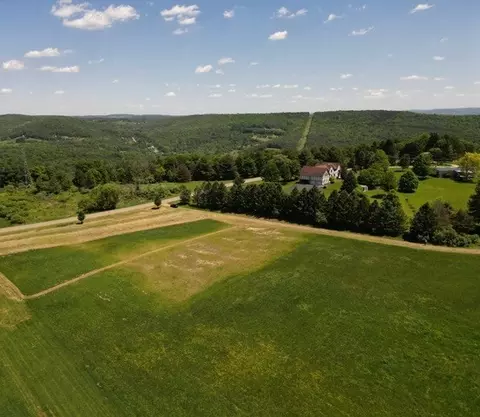 0 Walker Hill Rd, Barton, NY 14892 photo 9