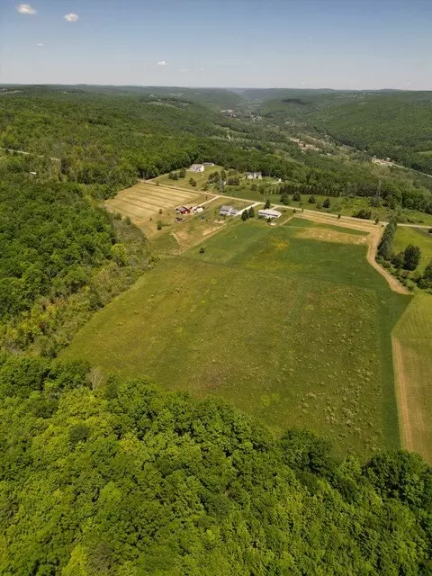 0 Walker Hill Rd, Barton, NY 14892 photo 10