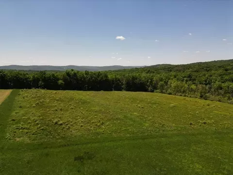 0 Walker Hill Rd, Barton, NY 14892 photo 3