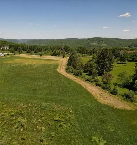 0 Walker Hill Rd, Barton, NY 14892 photo 8