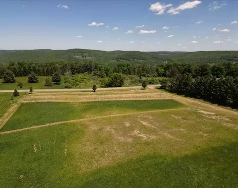 0 Walker Hill Rd, Barton, NY 14892 photo 13