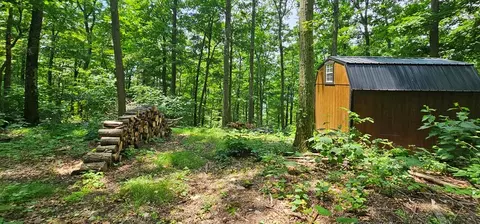 0 Robinson Rd, Ashland, NY 14894